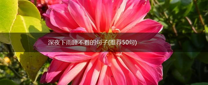 深夜下雨睡不着的句子(推荐50句),第1张