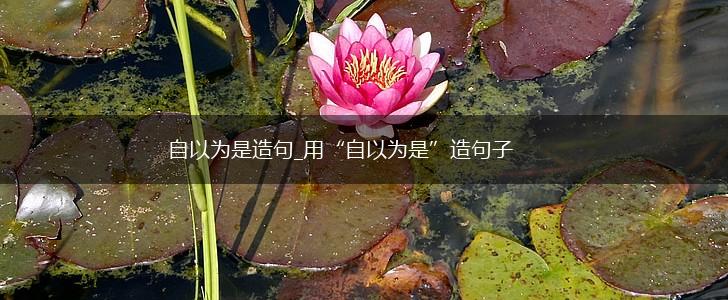 自以为是造句_用“自以为是”造句子,第1张