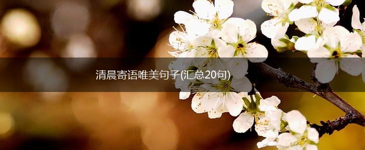 清晨寄语唯美句子(汇总20句),第1张