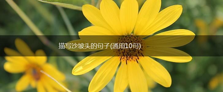 描写沙坡头的句子(通用10句),第1张