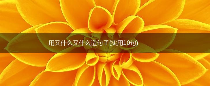 用又什么又什么造句子(实用10句),第1张