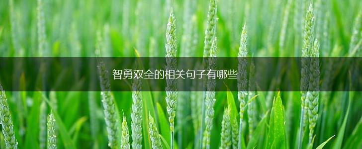 智勇双全的相关句子有哪些,第1张