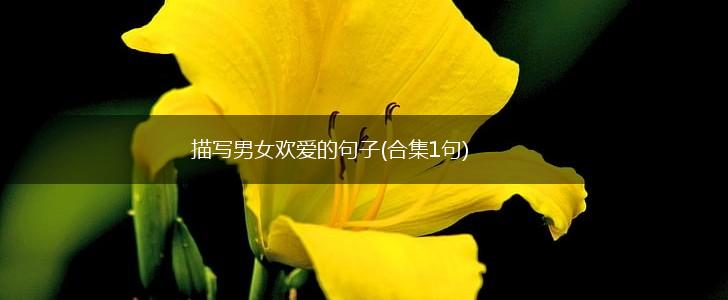 描写男女欢爱的句子(合集1句),第1张