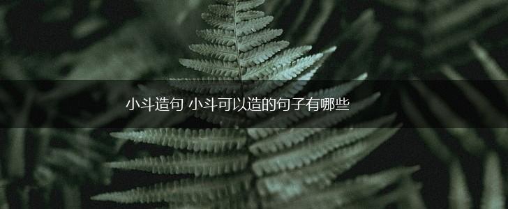 小斗造句 小斗可以造的句子有哪些,第1张