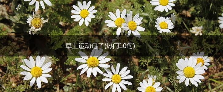 早上运动句子(热门10句),第1张