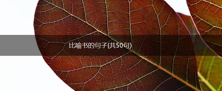 比喻书的句子(共50句),第1张