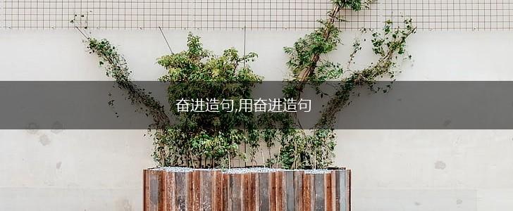 奋进造句,用奋进造句,第1张