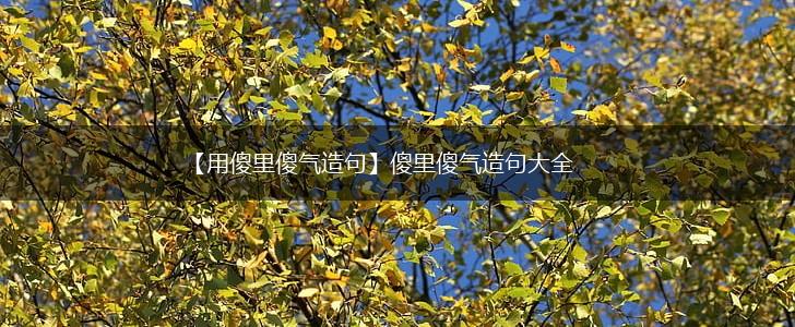 【用傻里傻气造句】傻里傻气造句大全,第1张
