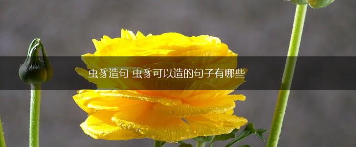 虫豸造句 虫豸可以造的句子有哪些,第1张