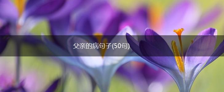 父亲的病句子(50句),第1张