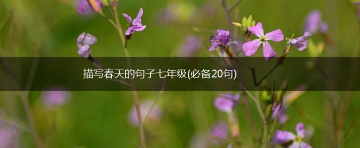 描写春天的句子七年级(必备20句),第1张