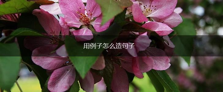 用例子怎么造句子,第1张