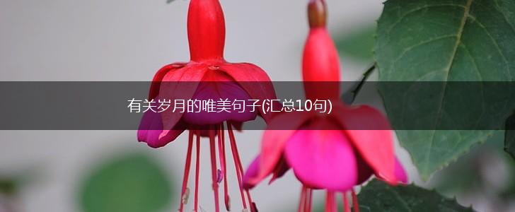 有关岁月的唯美句子(汇总10句),第1张