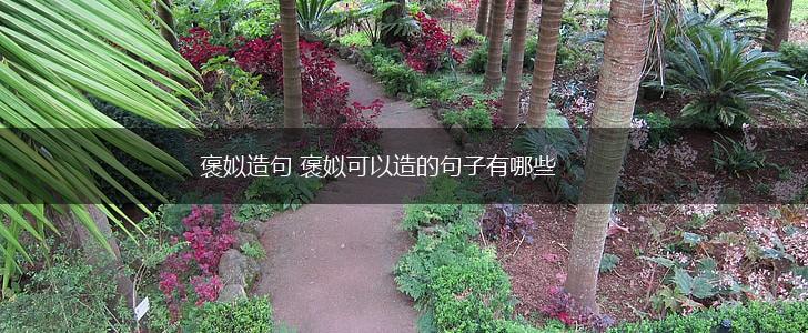 褒姒造句 褒姒可以造的句子有哪些,第1张