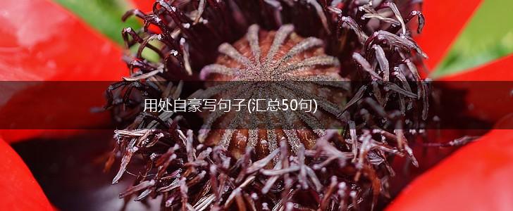 用处自豪写句子(汇总50句),第1张