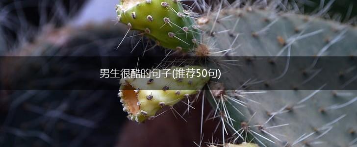 男生很酷的句子(推荐50句),第1张