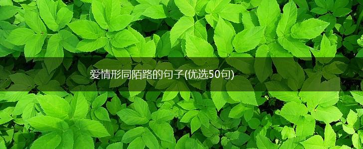 爱情形同陌路的句子(优选50句),第1张