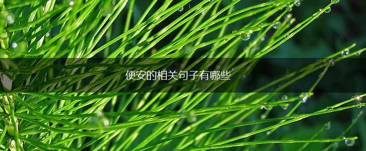 便安的相关句子有哪些,第1张