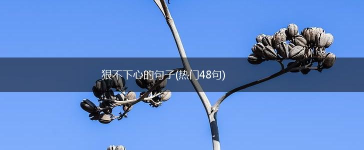 狠不下心的句子(热门48句),第1张