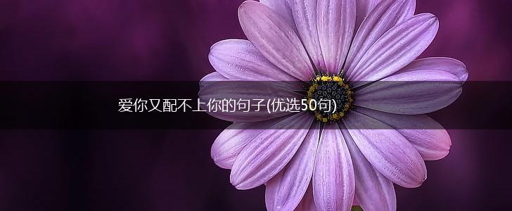 爱你又配不上你的句子(优选50句),第1张