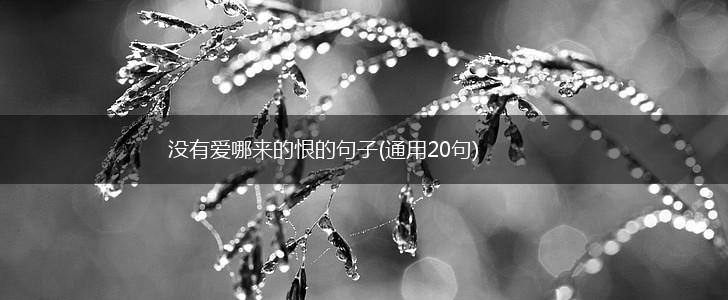 没有爱哪来的恨的句子(通用20句),第1张