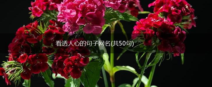 看透人心的句子网名(共50句),第1张