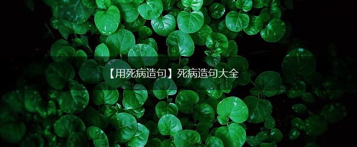 【用死病造句】死病造句大全,第1张