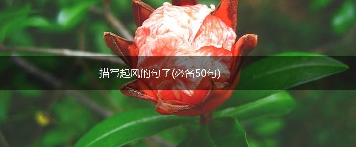 描写起风的句子(必备50句),第1张