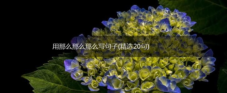 用那么那么那么写句子(精选20句),第1张