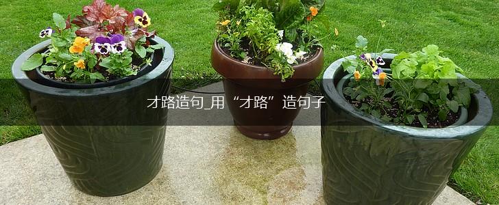 才路造句_用“才路”造句子,第1张