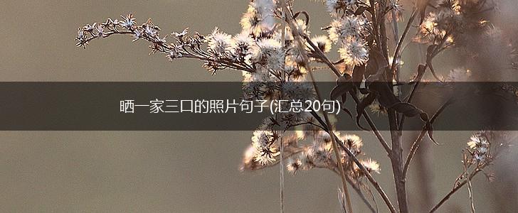 晒一家三口的照片句子(汇总20句),第1张