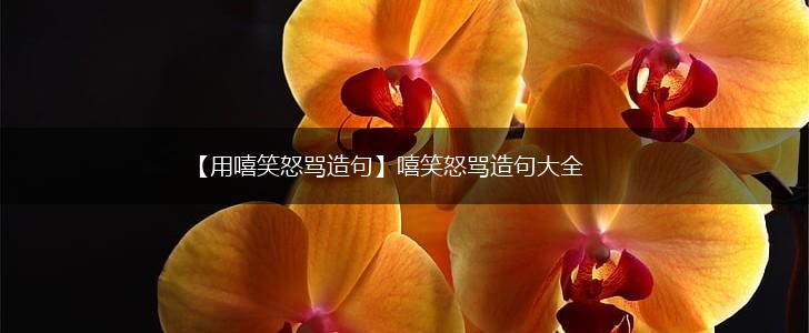 【用嘻笑怒骂造句】嘻笑怒骂造句大全,第1张