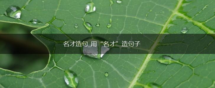 名才造句_用“名才”造句子,第1张