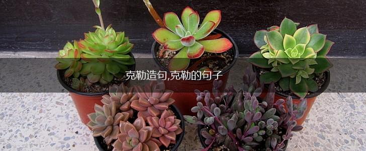 克勒造句,克勒的句子,第1张