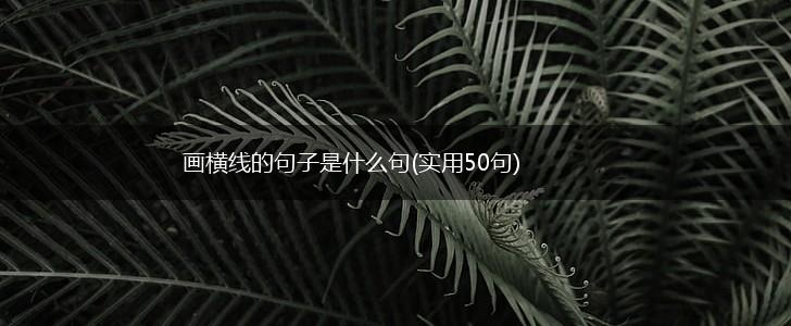 画横线的句子是什么句(实用50句),第1张