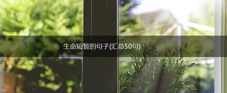 生命短暂的句子(汇总50句),第1张