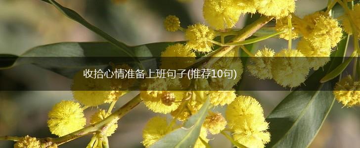 收拾心情准备上班句子(推荐10句),第1张