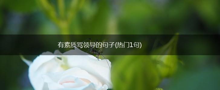 有素质骂领导的句子(热门1句),第1张
