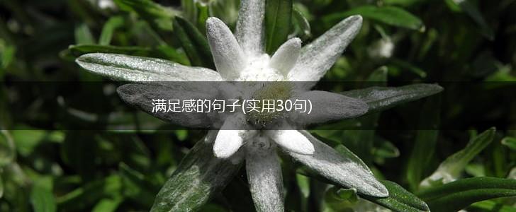满足感的句子(实用30句),第1张