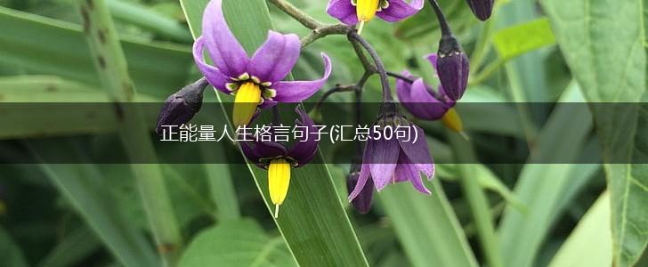 正能量人生格言句子(汇总50句),第1张