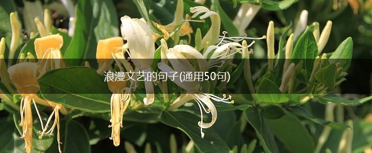 浪漫文艺的句子(通用50句),第1张