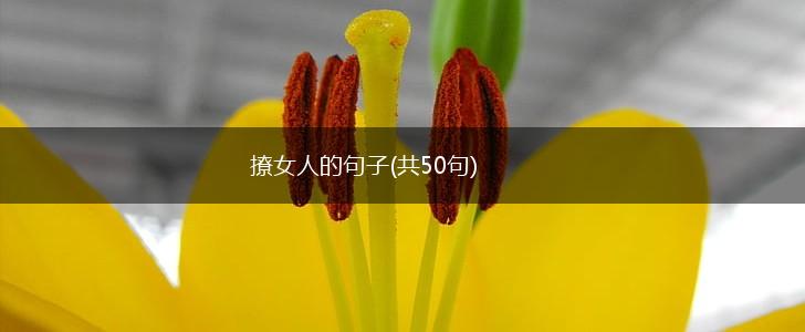 撩女人的句子(共50句),第1张