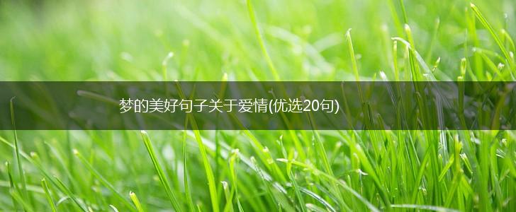 梦的美好句子关于爱情(优选20句),第1张