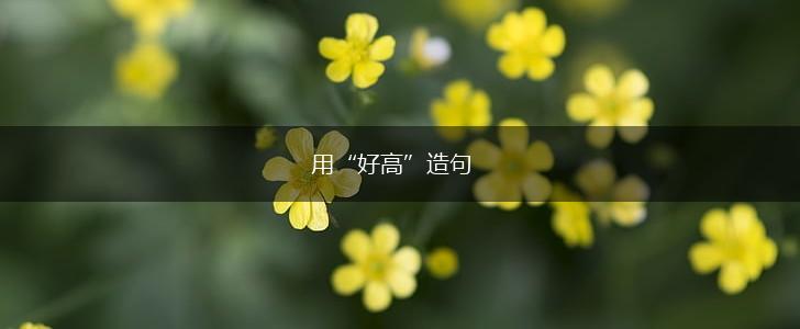 用“好高”造句,第1张