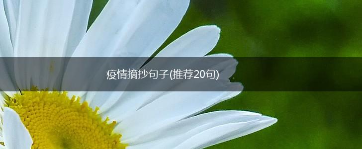 疫情摘抄句子(推荐20句),第1张