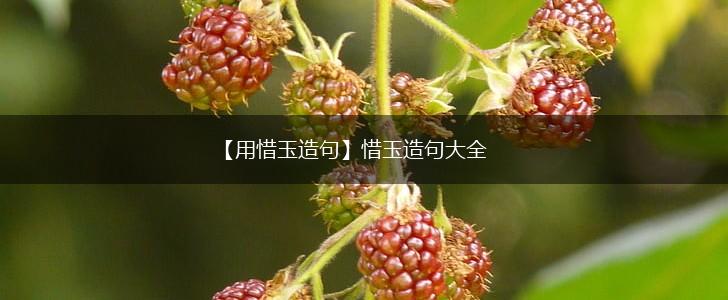 【用惜玉造句】惜玉造句大全,第1张