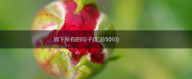 放下所有的句子(汇总50句),第1张