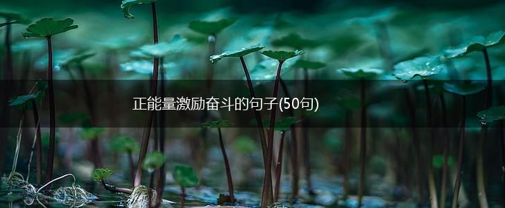 正能量激励奋斗的句子(50句),第1张