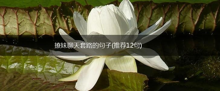 撩妹聊天套路的句子(推荐12句),第1张