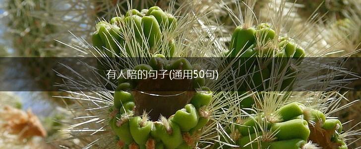 有人陪的句子(通用50句),第1张